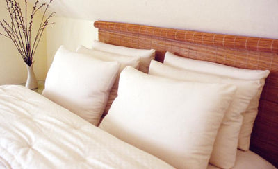 Holy Lamb Organics Natural Wool Bed Pillows